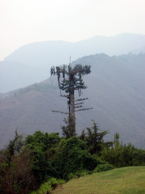 Antena de telefonía camuflada de árbol