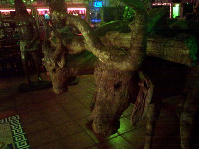 Bueyes en la entrada