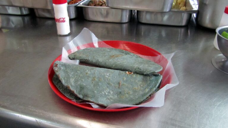 Tacos con tortilla negra