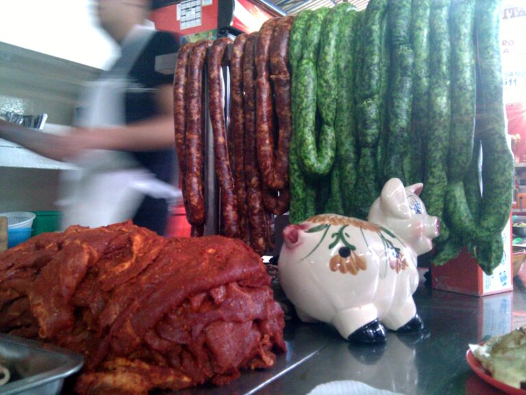 El puerquito de las carnes