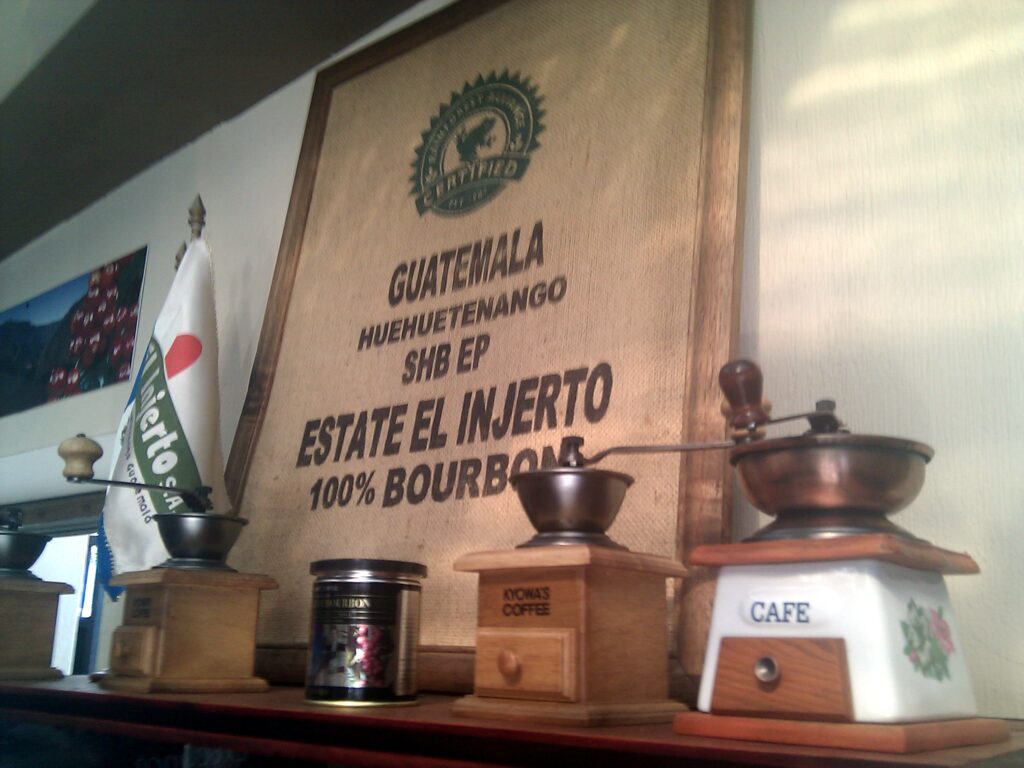 "Estante el Injerto"