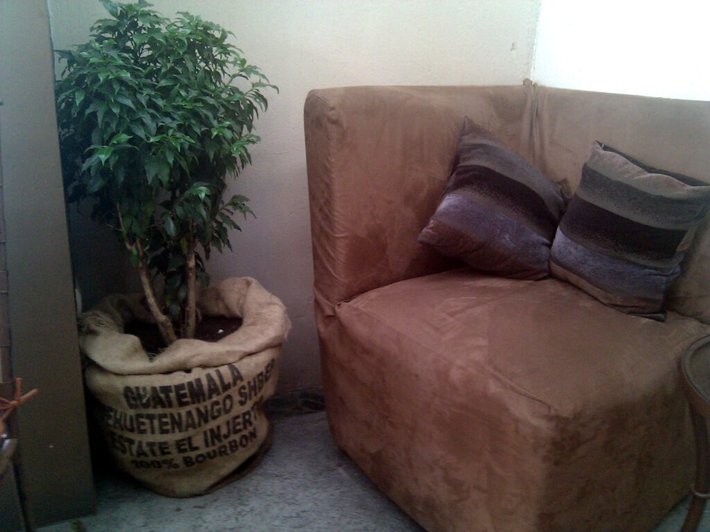 Costal de café como maceta