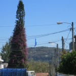 La bandera más grande de Guatemala