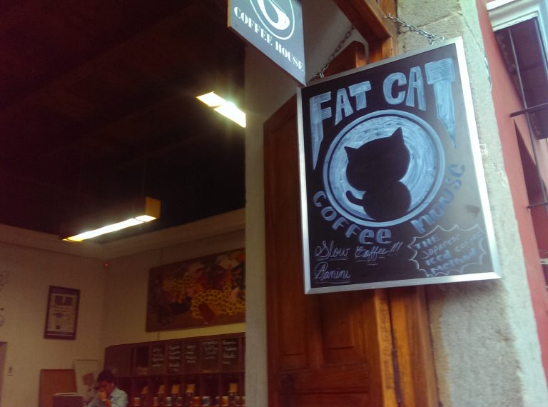  Fat Cat Coffee House